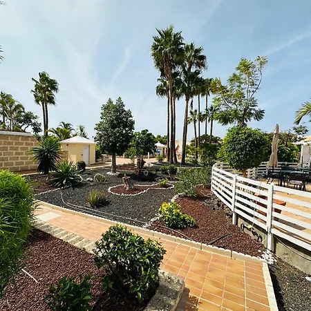 Vakantiehuis Palms Dream *